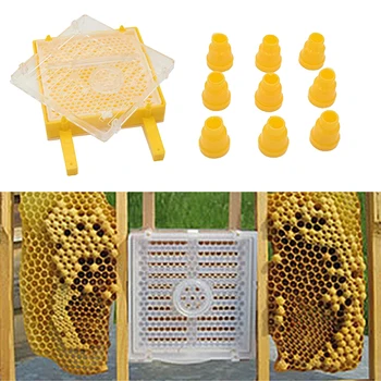 Принадлежности для пчеловодства Bee King Полный комплект для выращивания маток Пластиковый многофункциональный ящик для разведения маток подстаканник для маточников 2
